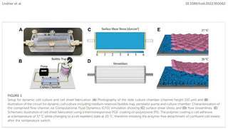 Innovaprene® P 60 peristaltic pump tubing for bio-pharmaceutical use